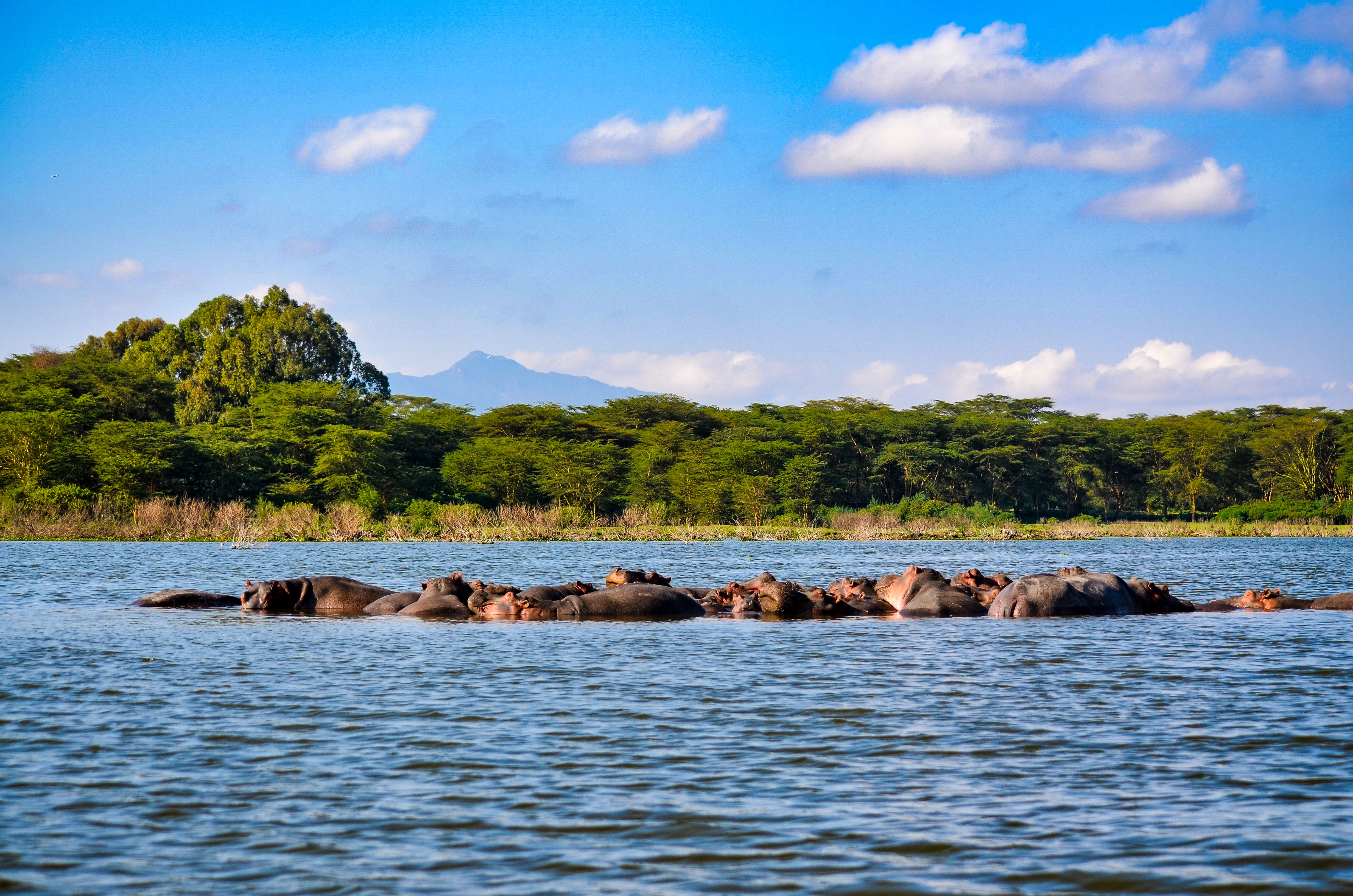 Lake Nakuru - Local culture